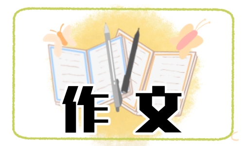 畅想高三作文700字