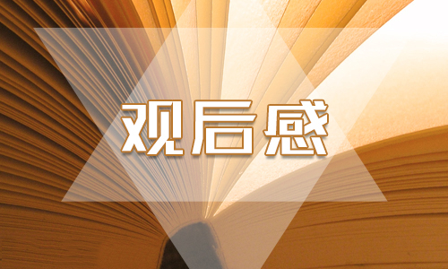 观看2020国家安全教育公开课心得体会观后感最新精选【5篇】